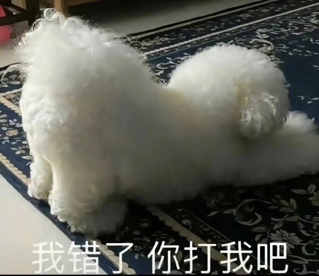 字母圈的aftercare：实用指南
