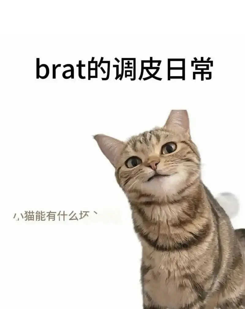 管教：实用指南