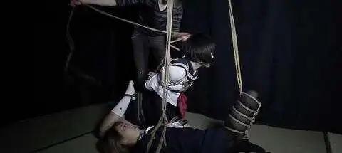 西檬之家-字母圈新人快速入门指南：从概念解释到实践