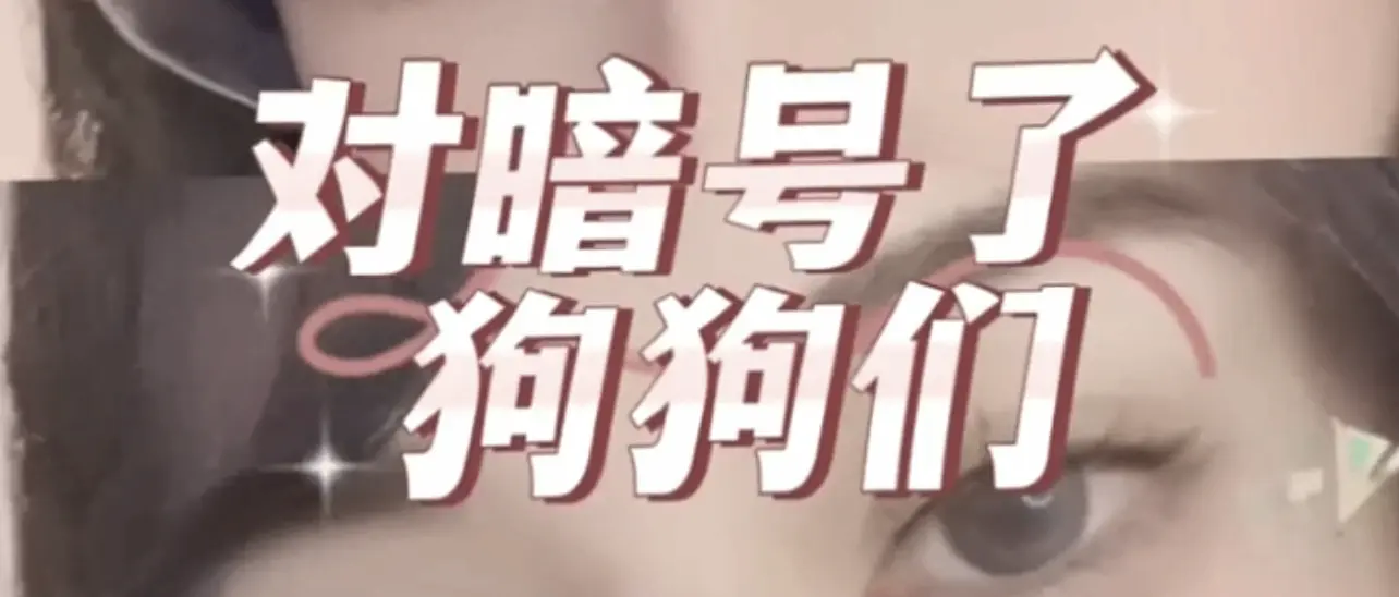 西檬之家-字母圈新手入门指南 SSDM 新人必备知识