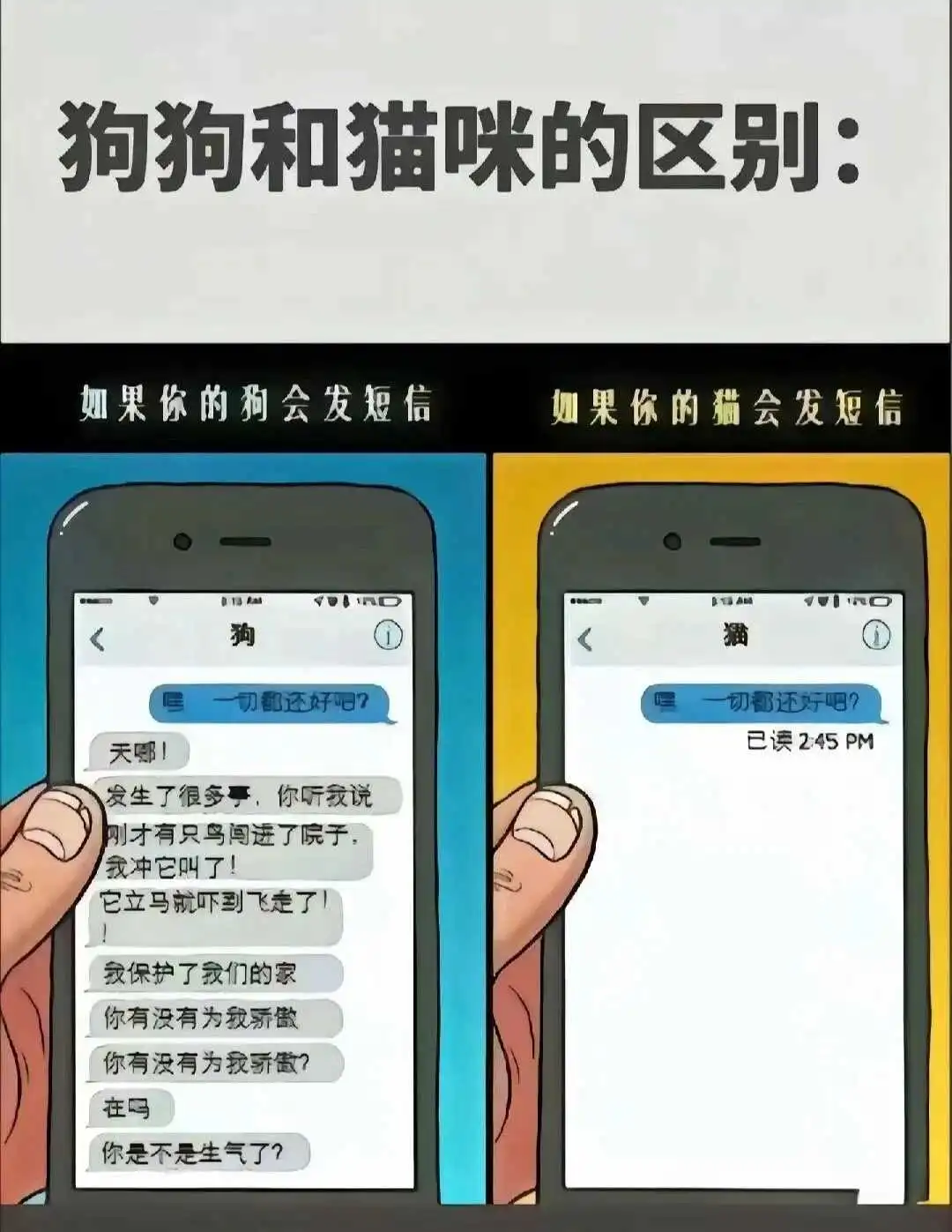 【西檬之家】字母圈新人大礼包：从M看BDSM世界