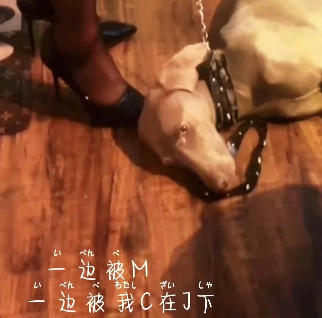 西檬之家-BDSM新手指南：Sub是什么？
