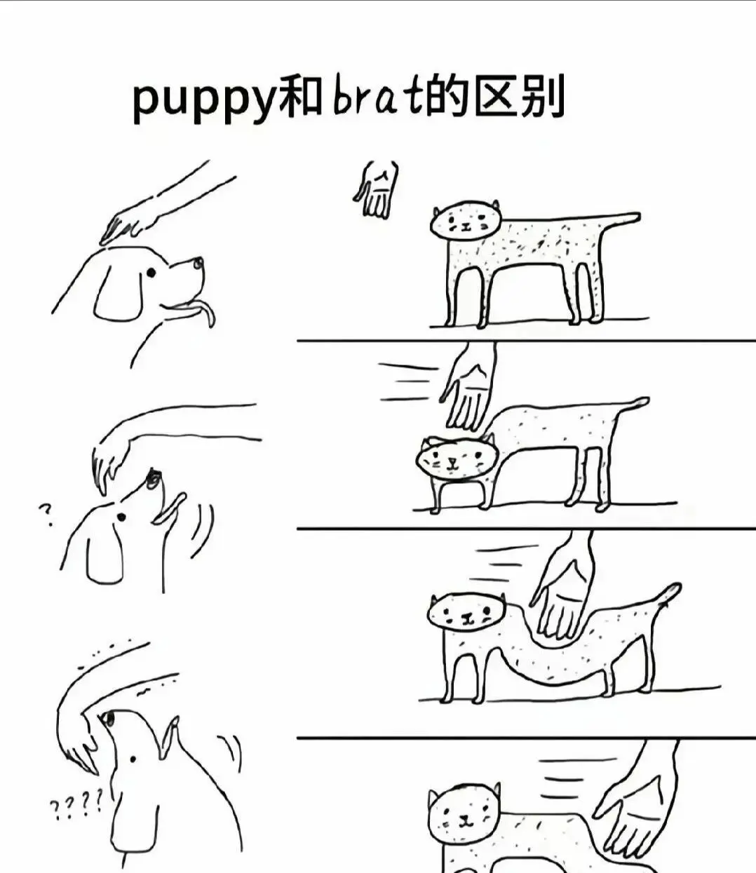 西檬之家-字母圈新人如何入圈？新手友好BDSM科普指南