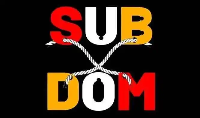 西檬之家-BDSM字母圈新人入圈权威指南