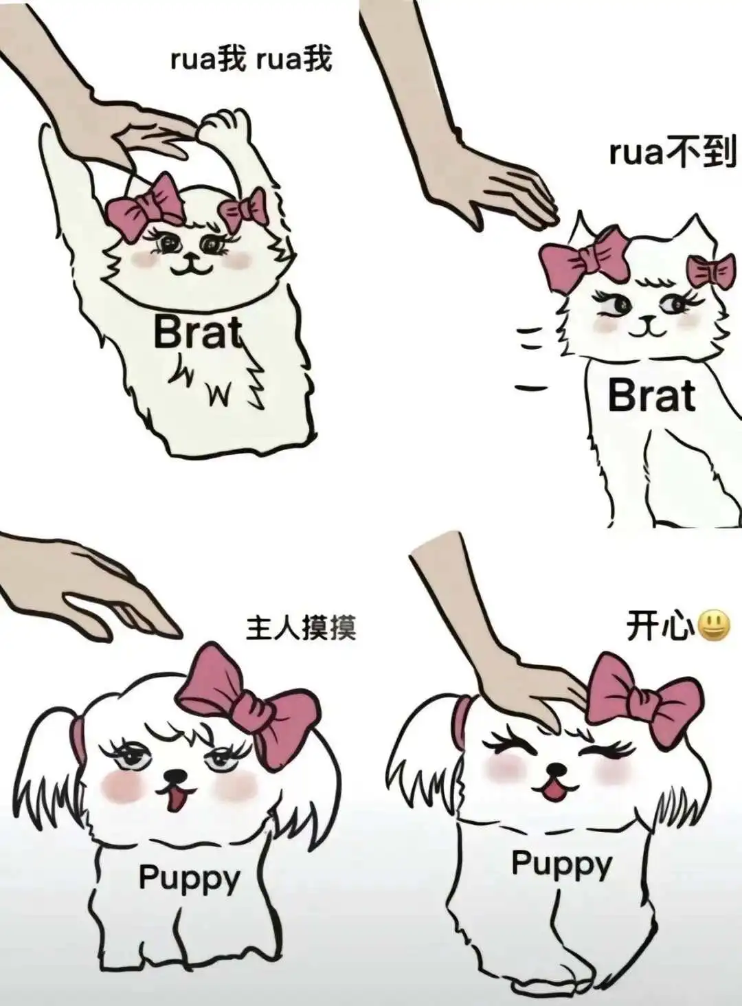 【西檬之家】M是什么？解密字母圈受虐者的角色与体验