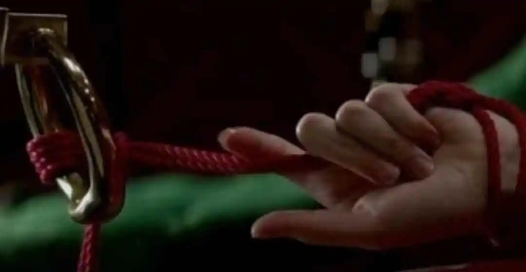 西檬之家-字母圈K8是什么？猫系性格与BDSM文化融合