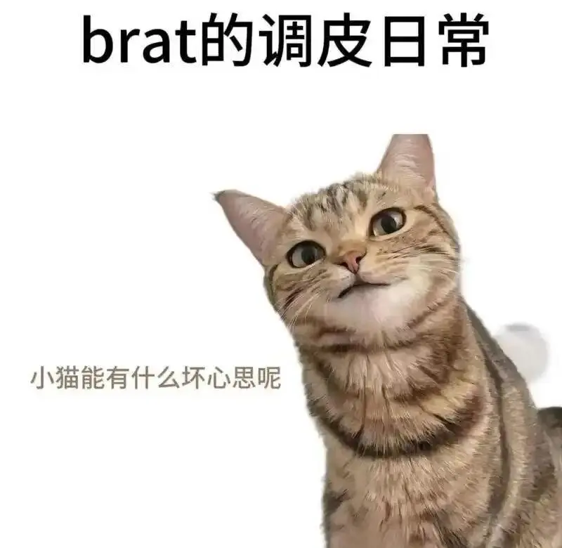 【西檬之家】BDSM字母圈新人入圈指南