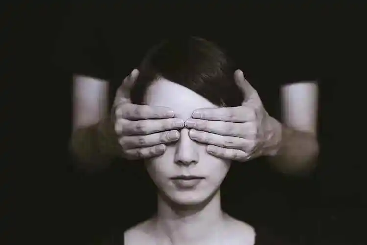 【西檬之家】K9犬系解析：字母圈中忠诚与服从的角色扮演