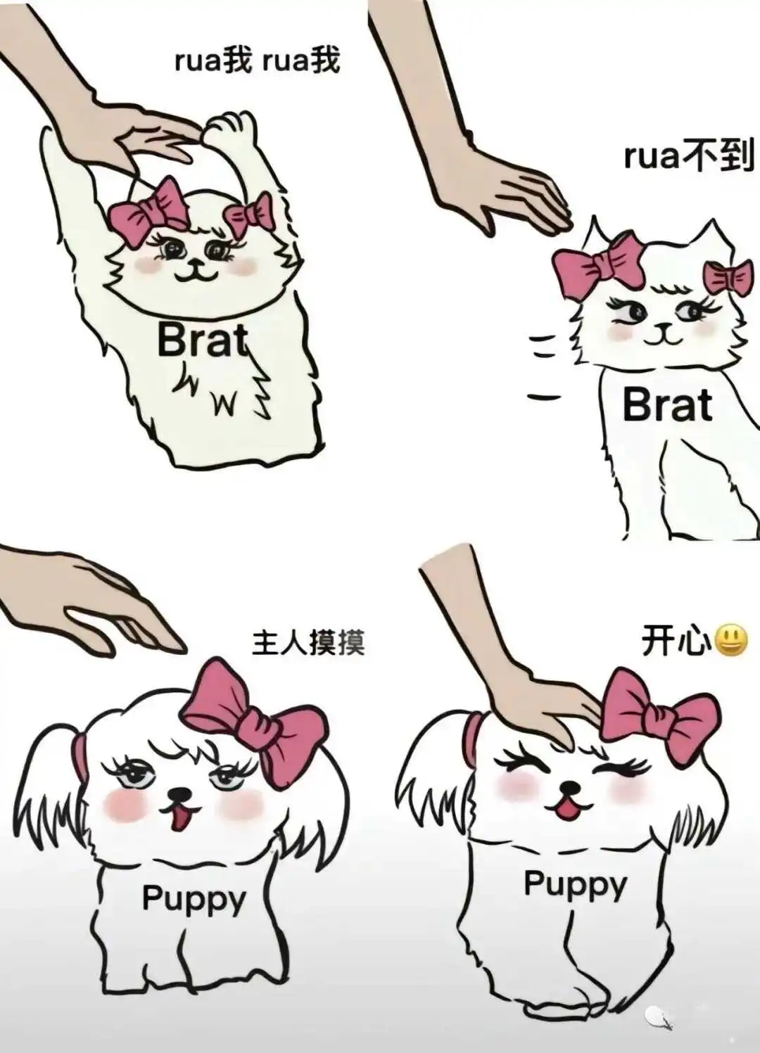 西檬之家-BDSM字母圈DT是什么意思？